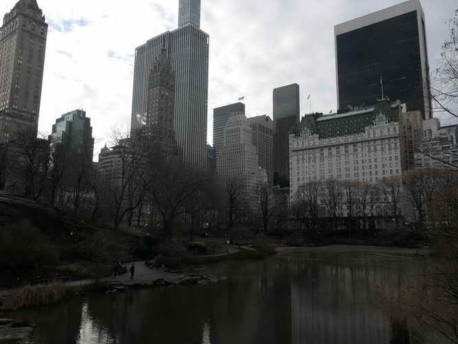NYC_2020-01-26 08-44-28_P1070493